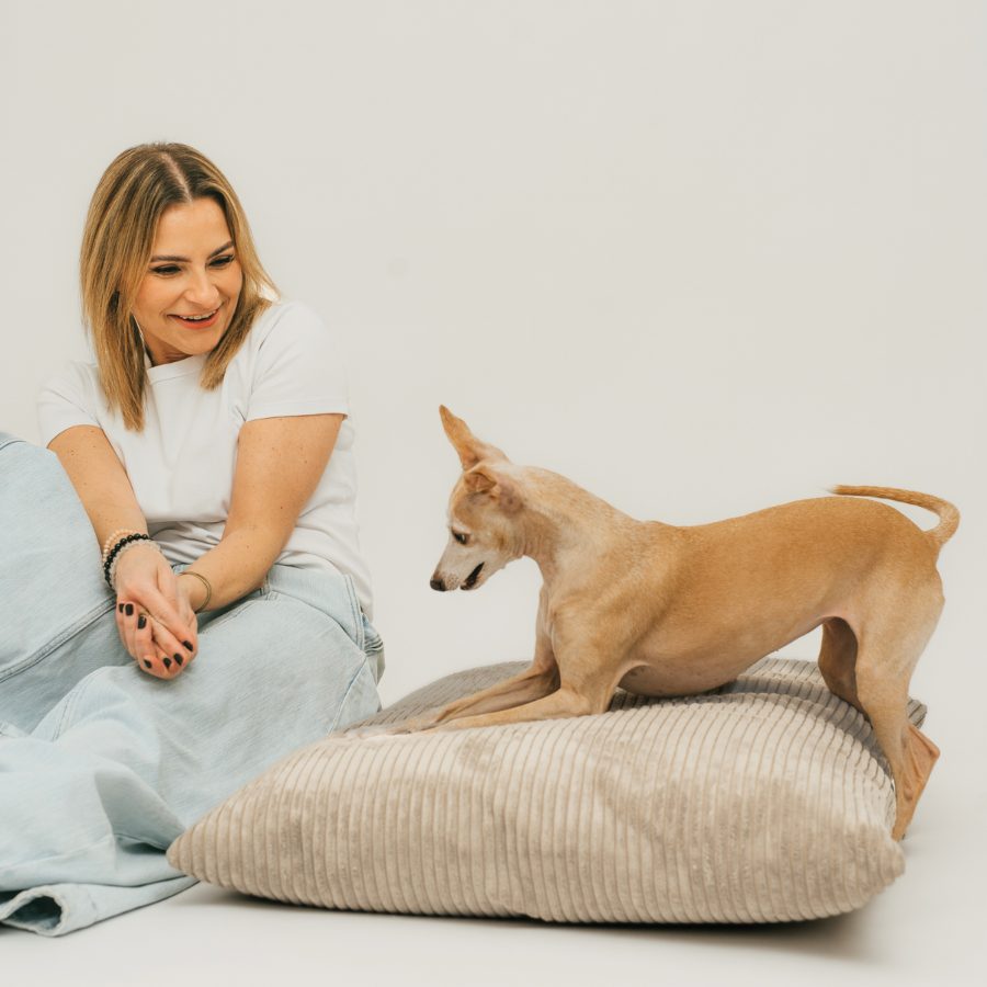 Aleksandra z 4L Textil s chrtem na béžovém polštáři MOLLY
